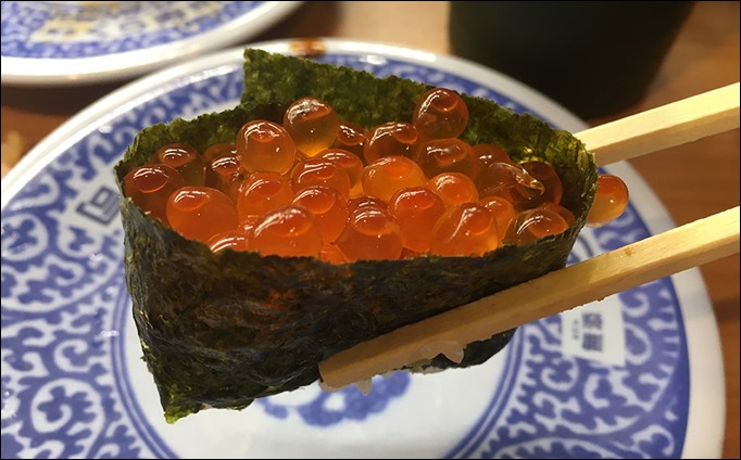 a1-tokujyou-ikura-ikan